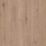 Roble barlovento estudio