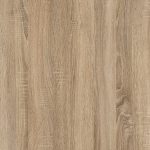 Cambrian oak eco