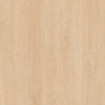 Roble proa estudio