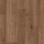 Navia brown estudio