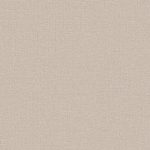 Canvas crudo