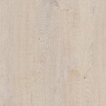 Roble creba